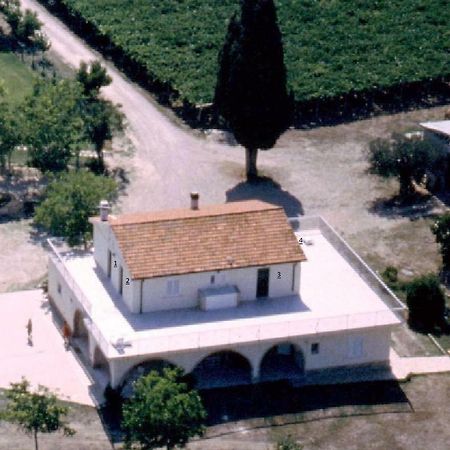 Agriturismo Torre Mannella - La Loggia Citta Sant'Angelo Exterior photo